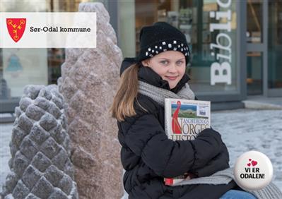 Sør-Odal kommune